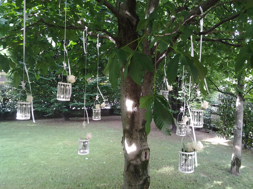 il linguaggio dei fiori