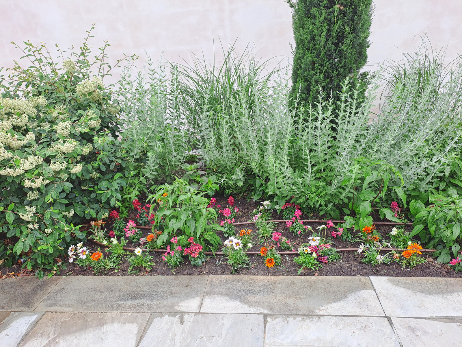 diamo vita agli spazi verdi