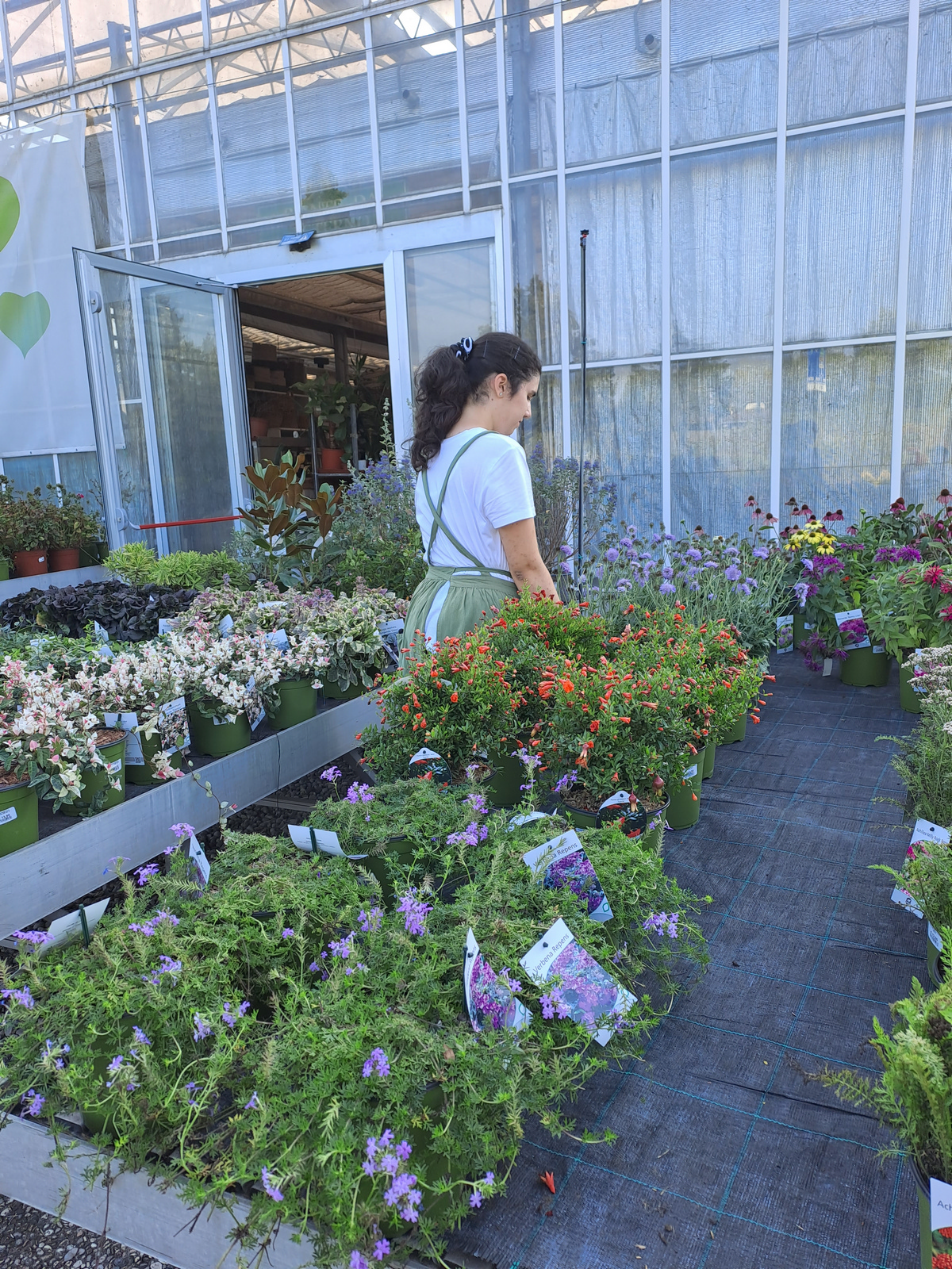 vent'anni di colori e condivisione