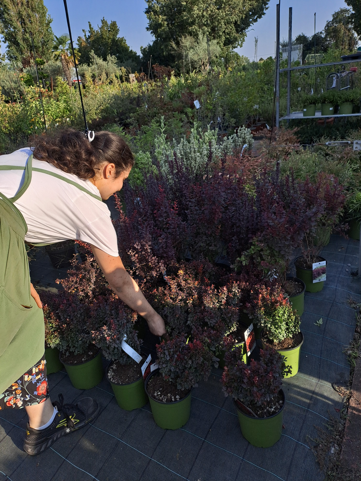 vent'anni di colori e condivisione