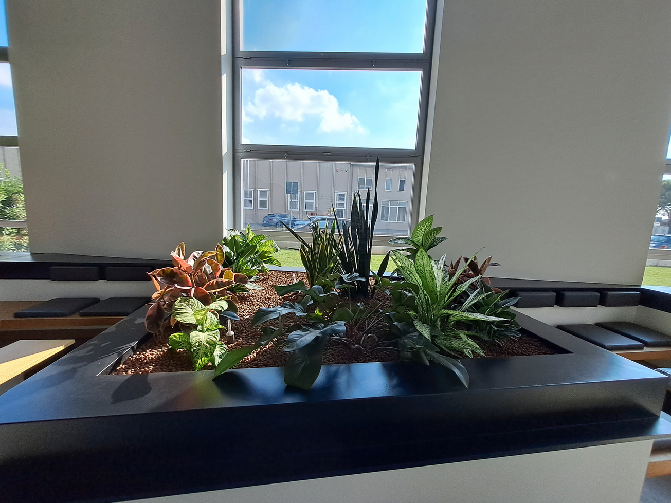 diamo vita agli spazi verdi