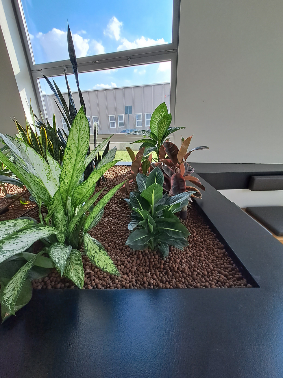 diamo vita agli spazi verdi