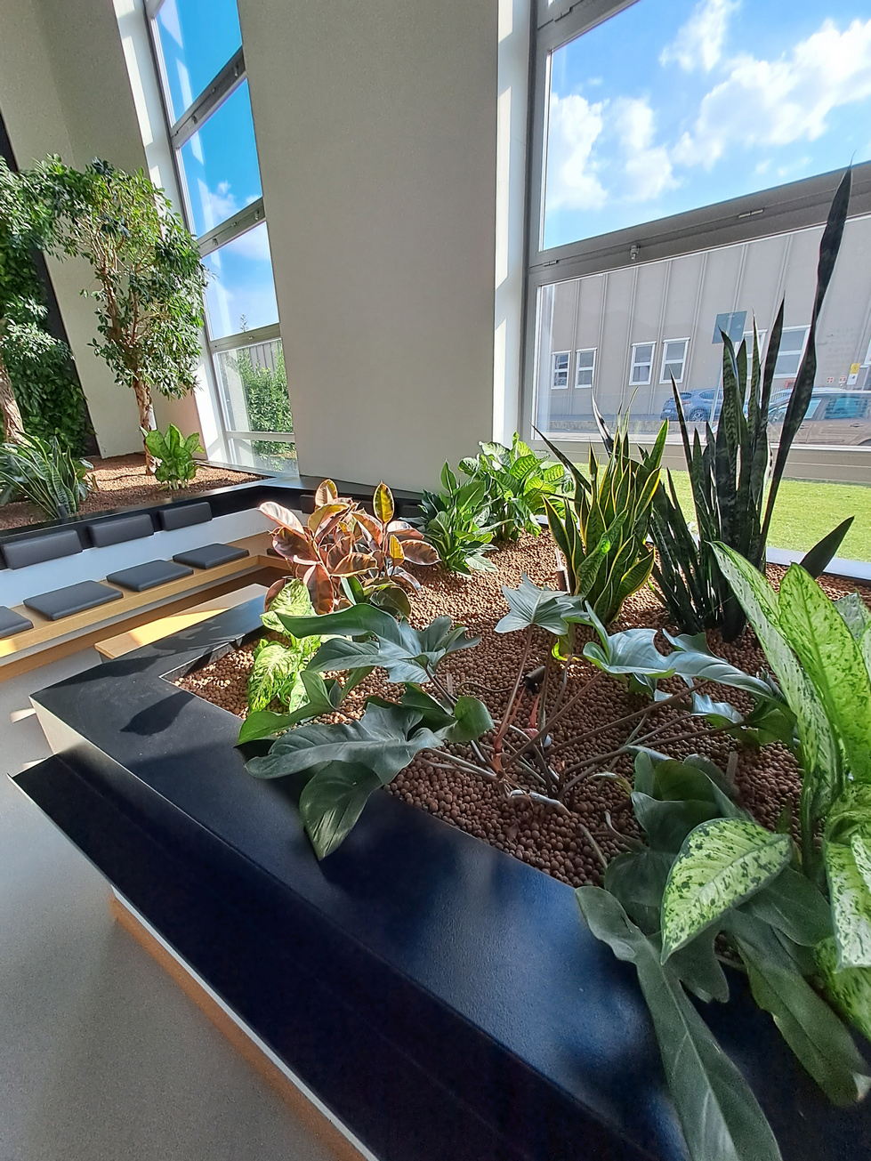 diamo vita agli spazi verdi