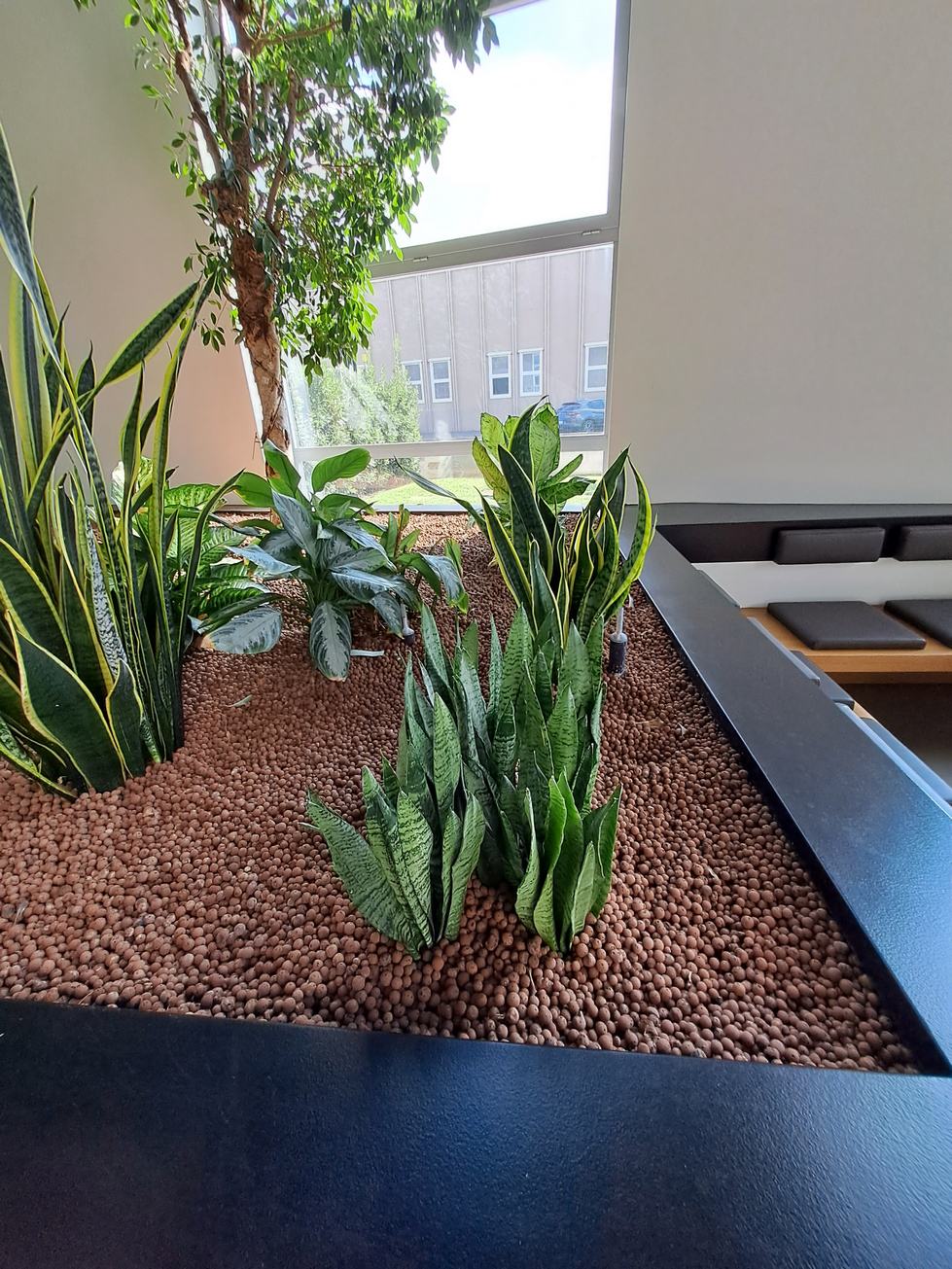 diamo vita agli spazi verdi