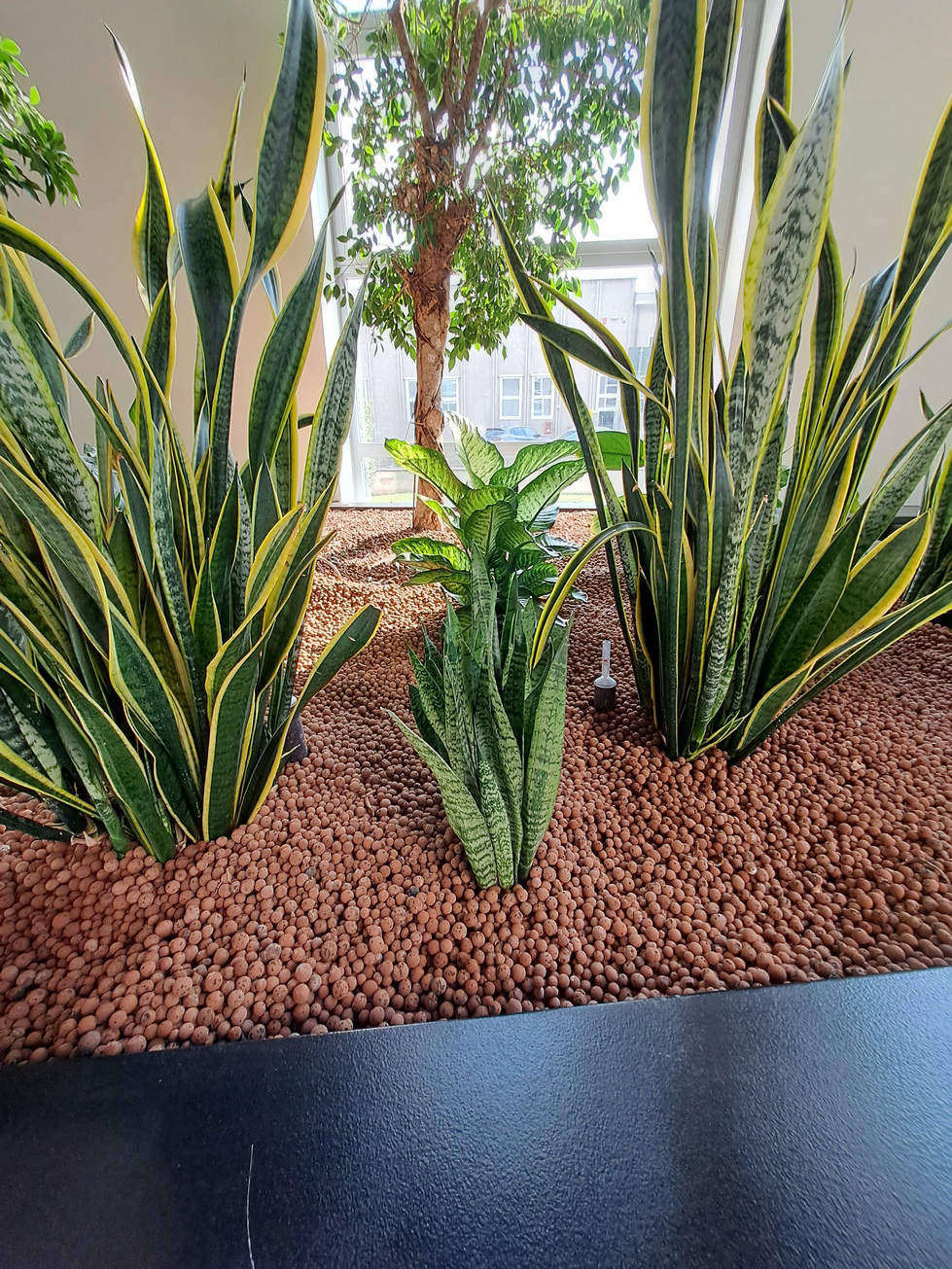 diamo vita agli spazi verdi