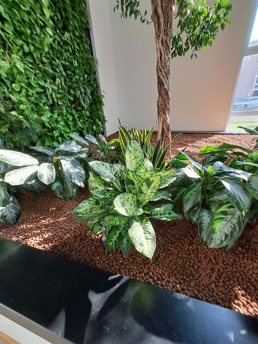 diamo vita agli spazi verdi