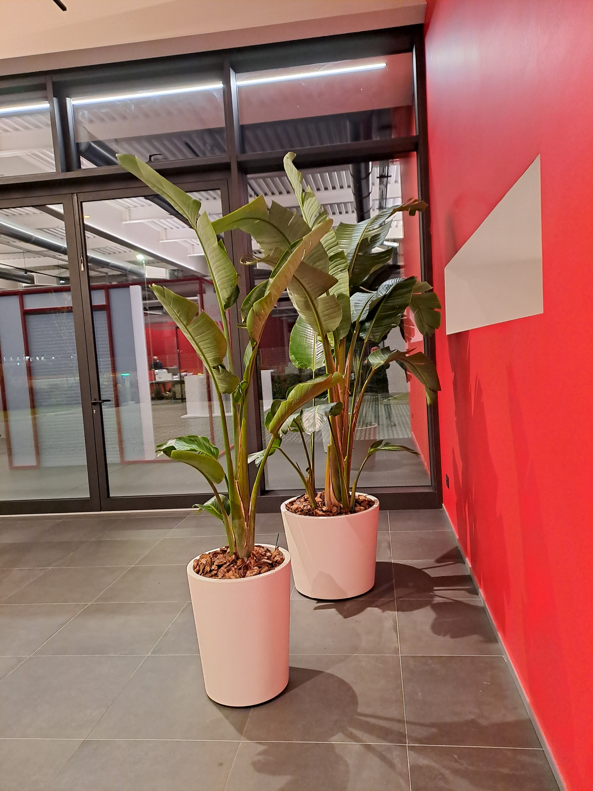 diamo vita agli spazi verdi