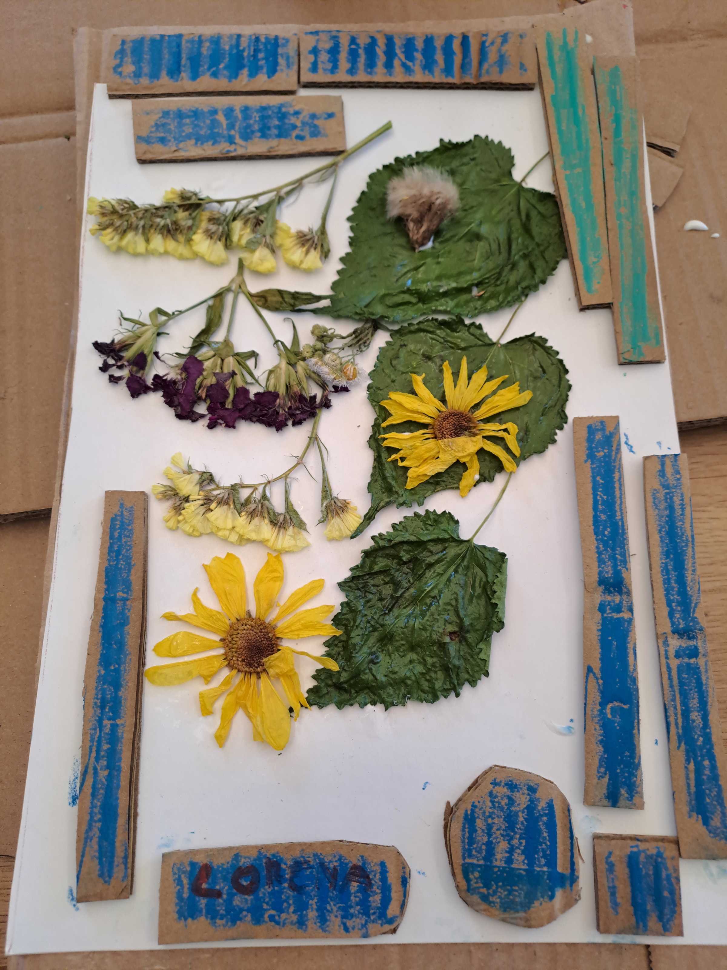 vent'anni di colori e condivisione